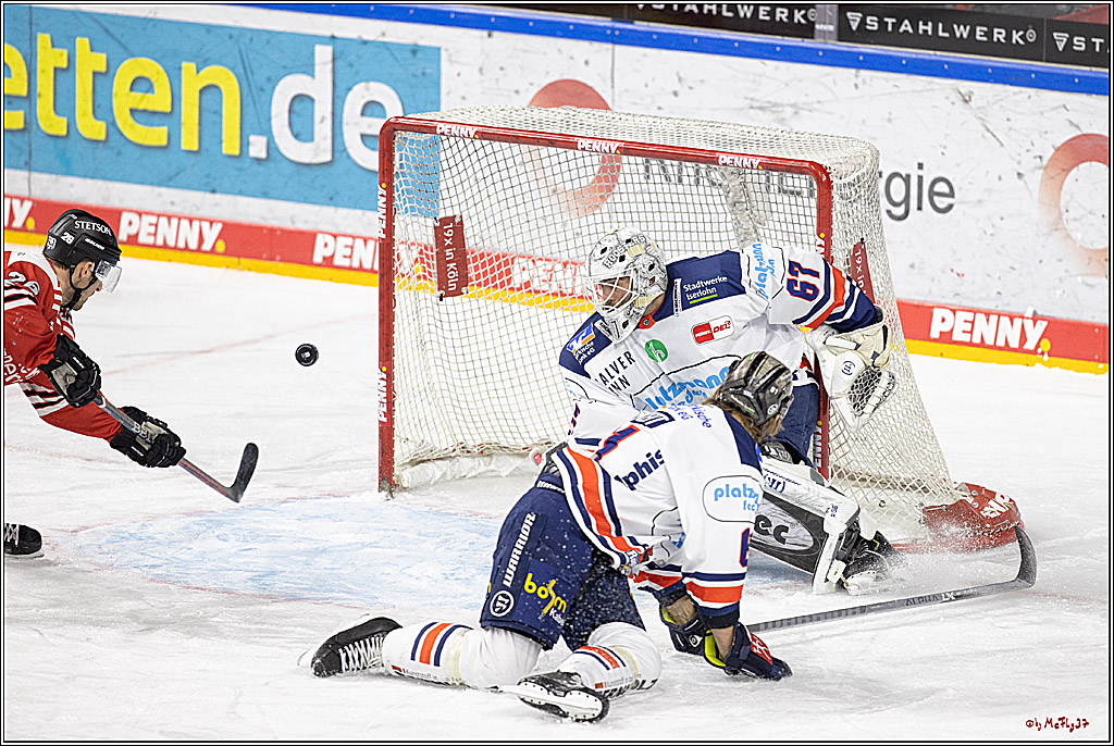 PENNY DEL;  Koelner Haie - Iserlohn Roosters; Koeln, 24.01.2023